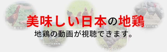 もっとチキンが好きになる チキンの里 一般社団法人 日本食鳥協会